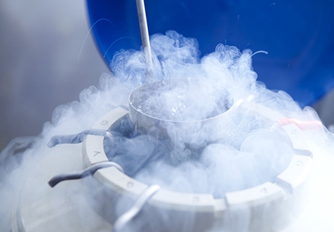 深圳銷(xiāo)售冷藏冷凍