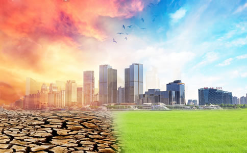 深圳坪山新區辦理營業執照 深圳坪山新區辦理營業執照