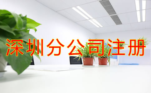 深圳分公司注冊資金要求有哪些？